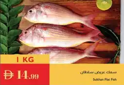 Istanbul Supermarket Sulthan Flat Fish offer