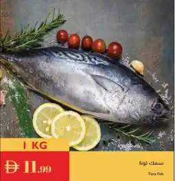 Istanbul Supermarket Tuna Fish offer