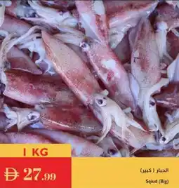 Istanbul Supermarket Sqiud (Big) offer