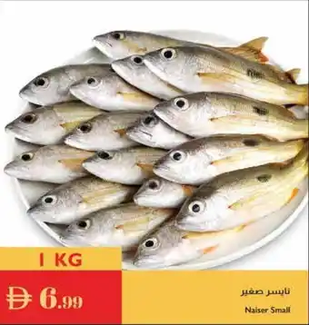 Istanbul Supermarket Naiser Small offer