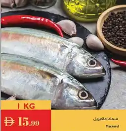 Istanbul Supermarket Mackerel offer