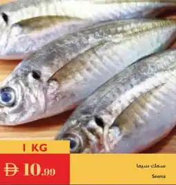 Istanbul Supermarket Seema offer