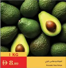 Istanbul Supermarket Avocado Hass Kenya offer