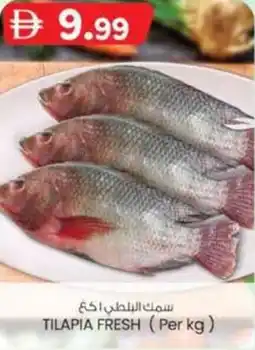 KM Trading Tilapia fresh offer