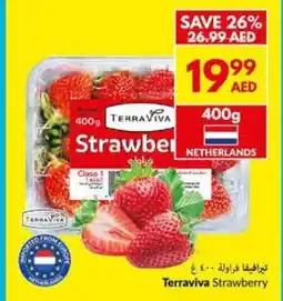 Viva Terraviva Strawberry offer