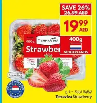 Viva Terraviva Strawberry offer