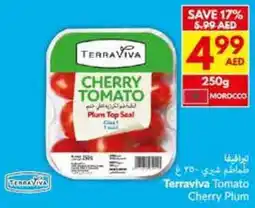 Viva Terraviva Tomato Cherry Plum offer