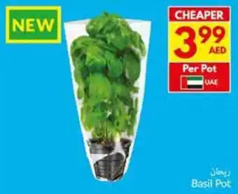 Viva Basil Pot offer