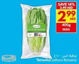 Viva Terraviva Lettuce Romaine offer
