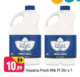 Shaklan HAYATNA Full Cream Milk offer