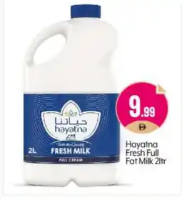 Bigmart HAYATNA Full Cream Milk offer