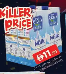 Al Madina NADEC Long Life / UHT Milk offer