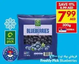Viva Freshly Pick Blueberries offer