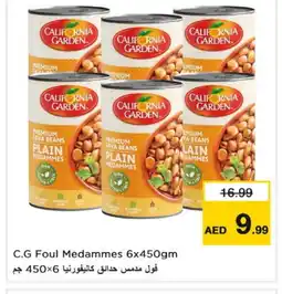 Last Chance CALIFORNIA GARDEN Fava Beans offer