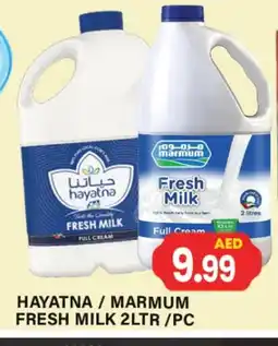 Zain Hypermarket HAYATNA Fresh Milk offer