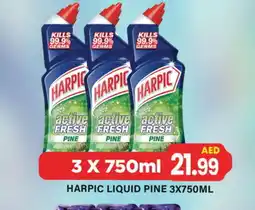 Gulf Hypermarket HARPIC Toilet / Drain Cleaner offer