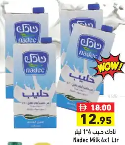 Aswaq Ramez Nadec Milk offer