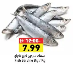 Aswaq Ramez Fish Sardine Big offer