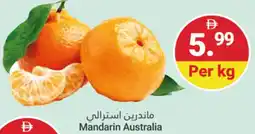 Grand Emirates Market Mandarin Australia offer