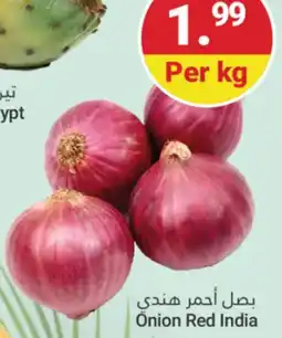 Grand Emirates Market Önion Red India offer