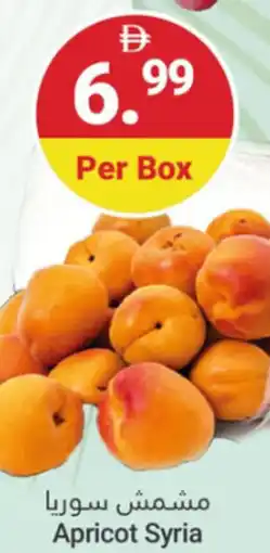 Grand Emirates Market Apricot Syria offer