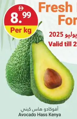Grand Emirates Market Avocado Hass Kenya offer
