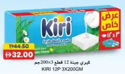 RAK Coop Kiri 12P offer
