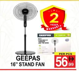 Friday Center GEEPAS Fan offer