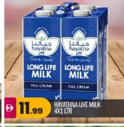 Bigmart HAYATNA Full Cream Milk offer