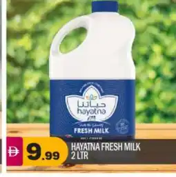 Bigmart HAYATNA Fresh Milk offer