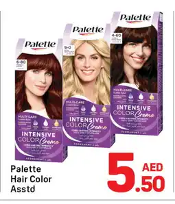 Day To Day PALETTE Hair Colour offer