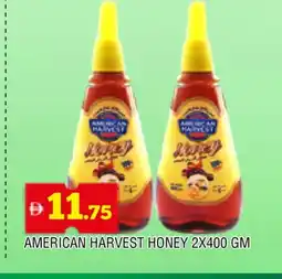 Al Madina AMERICAN HARVEST Honey offer