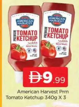 Al Madina AMERICAN HARVEST Tomato Ketchup offer