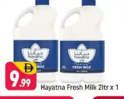 Shaklan HAYATNA Fresh Milk offer