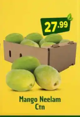 Bigmart Mango Mangoes offer
