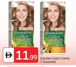 Talal Market GARNIER Hair Colour offer