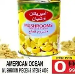 Gift Point American ocean mushroom pieces&stems offer