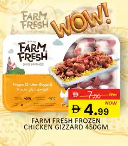 Al Madina FARM FRESH Chicken Gizzard offer