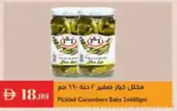 Istanbul Supermarket Farm Fresh Pickled Cucumbers Baby offer