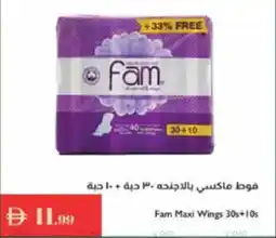 Istanbul Supermarket Fam Maxi Wings offer