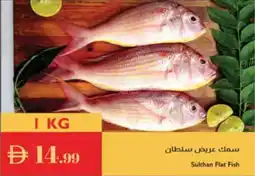 Istanbul Supermarket Sulthan Flat Fish offer