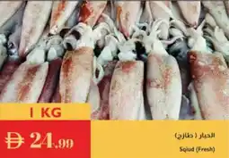 Istanbul Supermarket Sqiud Fresh offer