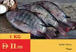 Istanbul Supermarket Tilapia offer
