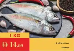 Istanbul Supermarket Mackerel offer