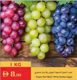 Istanbul Supermarket Grapes Red / Black / White Seedless Egypt offer