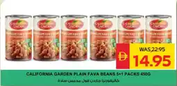 Spar California Garden Plain Fava Beans offer