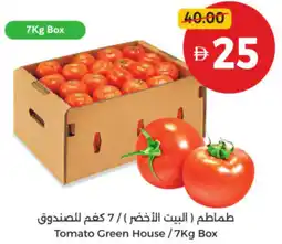 Union Coop Tomato Green House offer