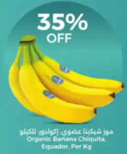 Union Coop Organic Banana Chiquita, Equador offer