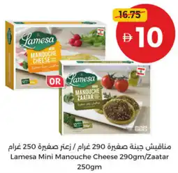 Union Coop Lamesa Mini Manouche offer