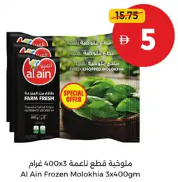 Union Coop Al Ain Frozen Molokhia offer
